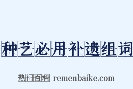 种艺必用补遗组词是什么意思的图片